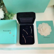 Tiffany T 925 Silver Wire Bar Pendant Ladies T Motif Earrings Rose Gold/Silver Valentines Day Gift